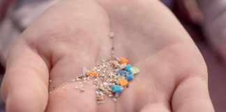 Salute, studio italiano: “Infarti più gravi con microplastiche, fumo e inquinamento”