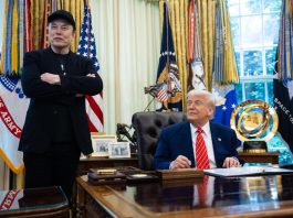 Stati Uniti, Musk aiuta Trump? Budget milionario per le elezioni di midterm