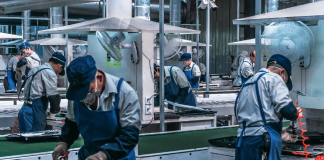Movimprese, nel secondo trimestre 33mila attività in più