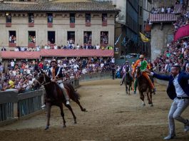 Palio di Siena oggi, orario e dove vederlo (in diretta): contrade, cavalli e fantini