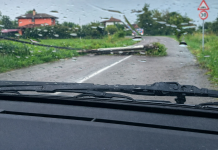 Maltempo nel Mantovano: alberi caduti e strade bloccate, Vigili del Fuoco al lavoro