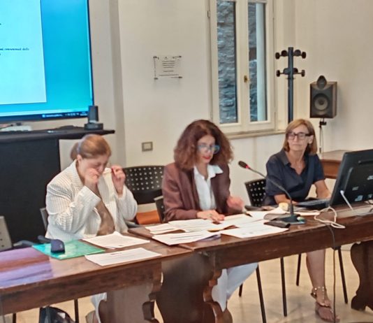 Pochi nidi, part-time negato: nel Mantovano 324 madri e 130 padri lasciano il lavoro