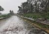 Il maltempo scuote il Mantovano: violenti temporali, vento e grandine. Parecchi blackout