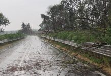 Il maltempo scuote il Mantovano: violenti temporali, vento e grandine. Parecchi blackout