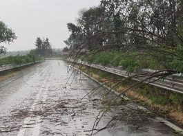 Il maltempo scuote il Mantovano: violenti temporali, vento e grandine. Parecchi blackout