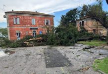 Alberi e pali caduti, strade interrotte: San Benedetto e Bagnolo si risvegliano sott’acqua