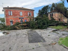 Alberi e pali caduti, strade interrotte: San Benedetto e Bagnolo si risvegliano sott’acqua
