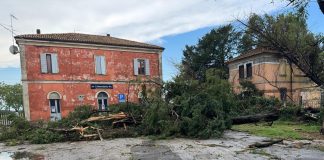 Alberi e pali caduti, strade interrotte: San Benedetto e Bagnolo si risvegliano sott’acqua