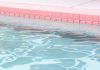 Bimba di 4 anni annega nella piscina dell’albergo a Milano Marittima