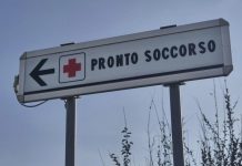 Morso di zecca e rischio encefalite, Bassetti: “Grave infezione virale, massima attenzione”