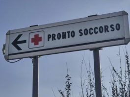 Morta per morso di zecca. Su rischio encefalite, Bassetti: “Grave infezione virale, massima attenzione”