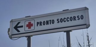 Morta per morso di zecca. Su rischio encefalite, Bassetti: “Grave infezione virale, massima attenzione”