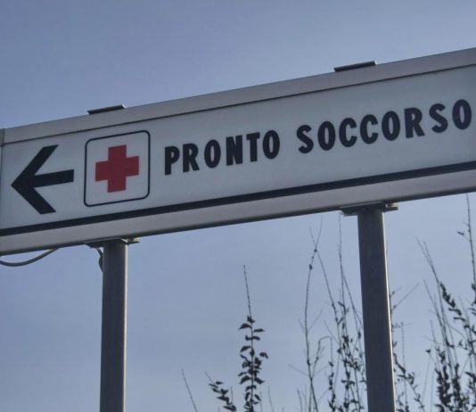 Morso di zecca e rischio encefalite, Bassetti: “Grave infezione virale, massima attenzione”