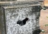 Vandali al campo da calcio di piazza Virgiliana: distrutti i quadri elettrici