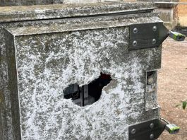 Vandali al campo da calcio di piazza Virgiliana: distrutti i quadri elettrici
