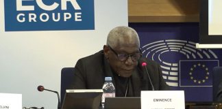 Ue, card. Sarah: “No a colonizzazione ideologica Africa, ma sussidiarietà autentica”