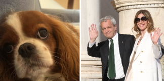 Fagnani e Mentana, addio alla cagnolina Bice: “Il dolore è profondo”