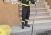 Castellucchio, serpente di un metro e mezzo incastrato nel tombino: salvato
