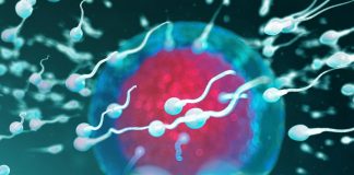 Fertilità, dove vive lui conta: regione di residenza e smog incidono su qualità sperma