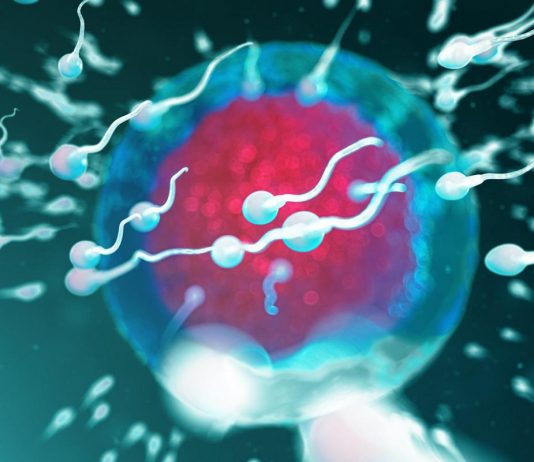 Fertilità, dove vive lui conta: regione di residenza e smog incidono su qualità sperma