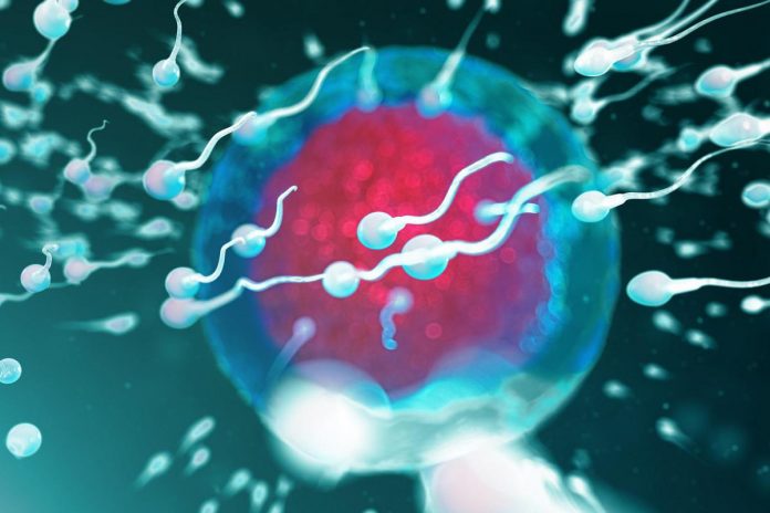 spermatozoi_123rf