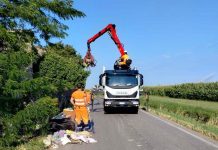 Rifiuti abbandonati in strada Boccalina, bonifica straordinaria a Roverbella: “ora più controlli e fototrappole”