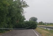 Il maltempo scuote il Mantovano: violenti temporali, vento e grandine. Parecchi blackout