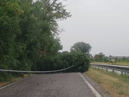 Il maltempo scuote il Mantovano: violenti temporali, vento e grandine. Parecchi blackout