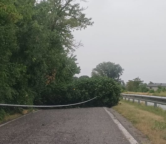 Il maltempo scuote il Mantovano: violenti temporali, vento e grandine. Parecchi blackout