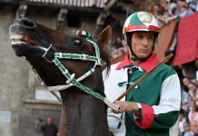 Aquila vince il Palio di Siena, Tittia fa 12: chi è il fantino dei record