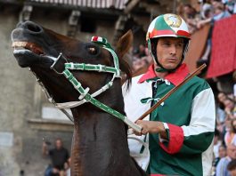 Aquila vince il Palio di Siena, Tittia fa 12: chi è il fantino dei record