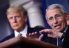 Covid Usa, Fauci si avvale del quinto emendamento: “Non rispondo”. Trump: “Sue idee folli”