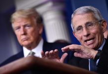 Covid Usa, Fauci si avvale del quinto emendamento: “Non rispondo”. Trump: “Sue idee folli”