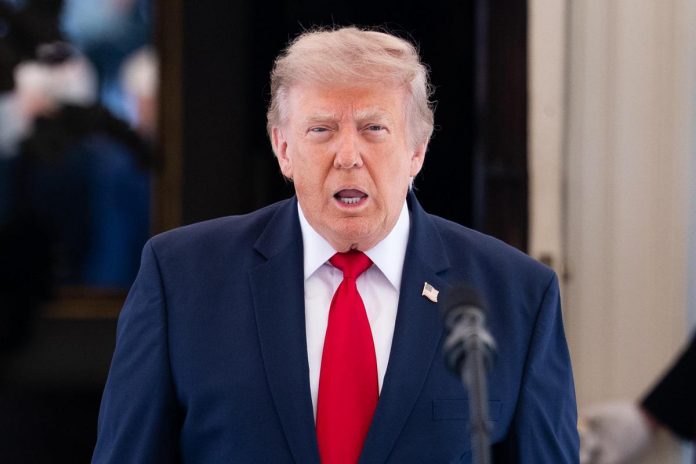 trump_mezzo_busto_fg_ipa