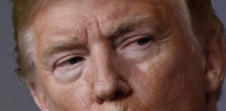 Trump più ricco con le criptovalute, ma molti suoi fan sono in rosso: l’analisi del Wall Street Journal