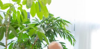 Undo Group: “Perfezionata l’acquisizione del progetto Stone”