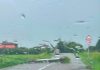 Grandine, vento e pioggia nel Mantovano: ancora alberi caduti e strade bloccate