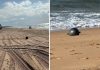 Australia, il mistero delle ‘palle spaziali’ in spiaggia: possono essere tossiche