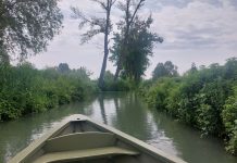 Dal Mantovano al Ticino: idee per un fine settimana tra laghi, cultura e socialità