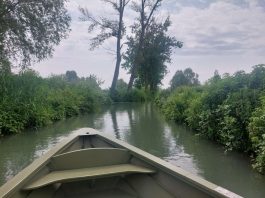 Dal Mantovano al Ticino: idee per un fine settimana tra laghi, cultura e socialità