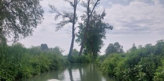 Dal Mantovano al Ticino: idee per un fine settimana tra laghi, cultura e socialità