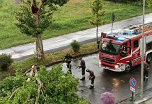 Maltempo sul Mantovano: interventi dopo pioggia intensa e vento forte