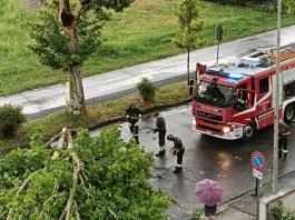 Violento temporale sul Mantovano: alberi e rami caduti. Strade interrotte e blackout