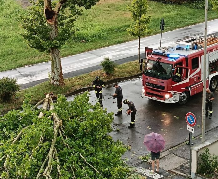via Vanoni Viadana