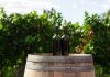 Panorama della Distribuzione del Vino in Europa