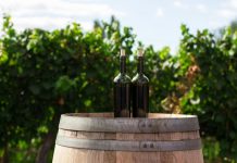 Panorama della Distribuzione del Vino in Europa