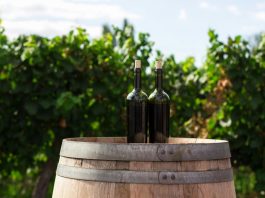 Panorama della Distribuzione del Vino in Europa