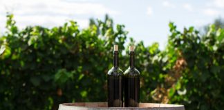 Panorama della Distribuzione del Vino in Europa