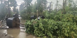 Maltempo, Codima: centinaia di denunce di danni ingenti ma molte aziende agricole erano assicurate