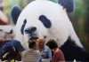 Cina, in aumento dell’11,3% i ricavi dell’industria pubblicitaria